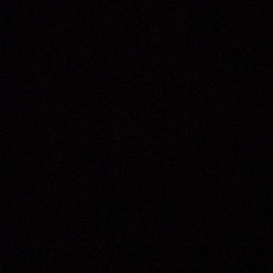 Meet your Posher, Daisy